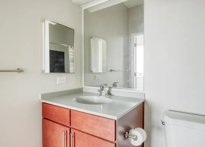 South Loop 2br W Gym Roof Nr Grant Park Chi-770 *