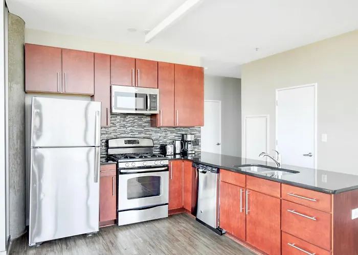 South Loop 2br W Gym Roof Nr Grant Park Chi-770 Chicago